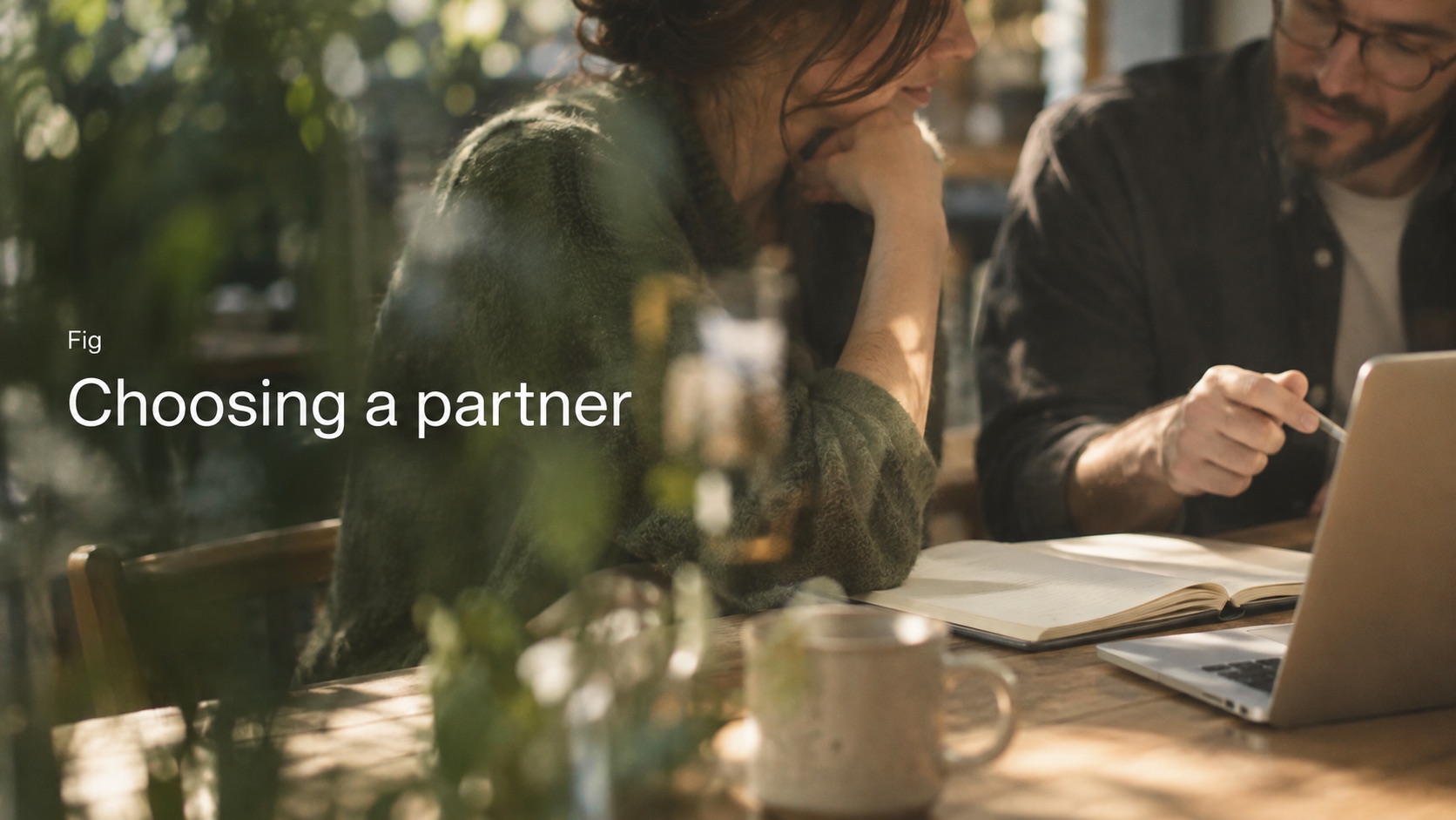 Choosing a partner, a Fig guide to the kinds of AI partner for a private equity portfolio.