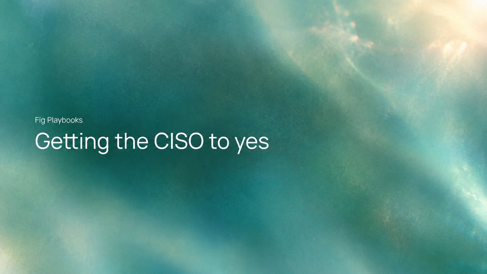 Getting the CISO to yes, a Fig playbook on security review for AI agents.