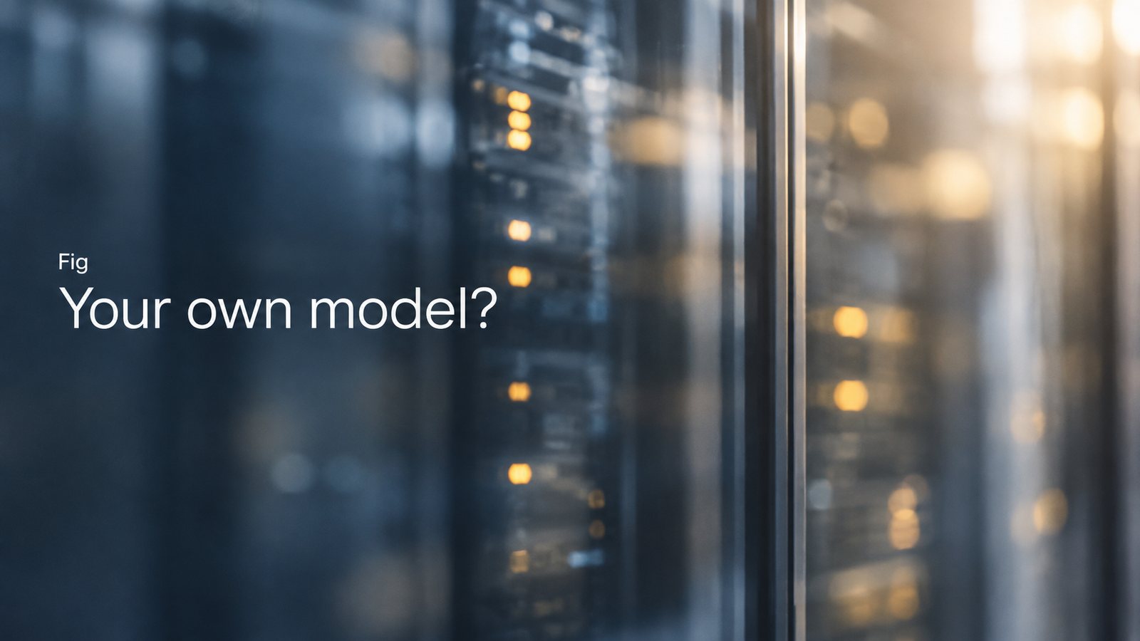 Your own model? A Fig post on when to use the frontier, open weights, or a post-trained model.