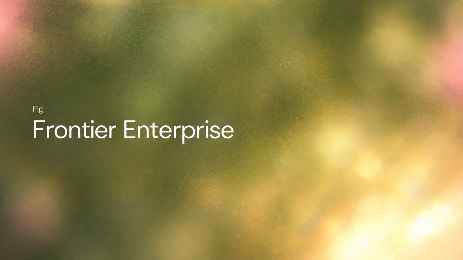 Frontier Enterprise, a Fig perspective on owning your data, knowledge, context, model choice, and oversight.